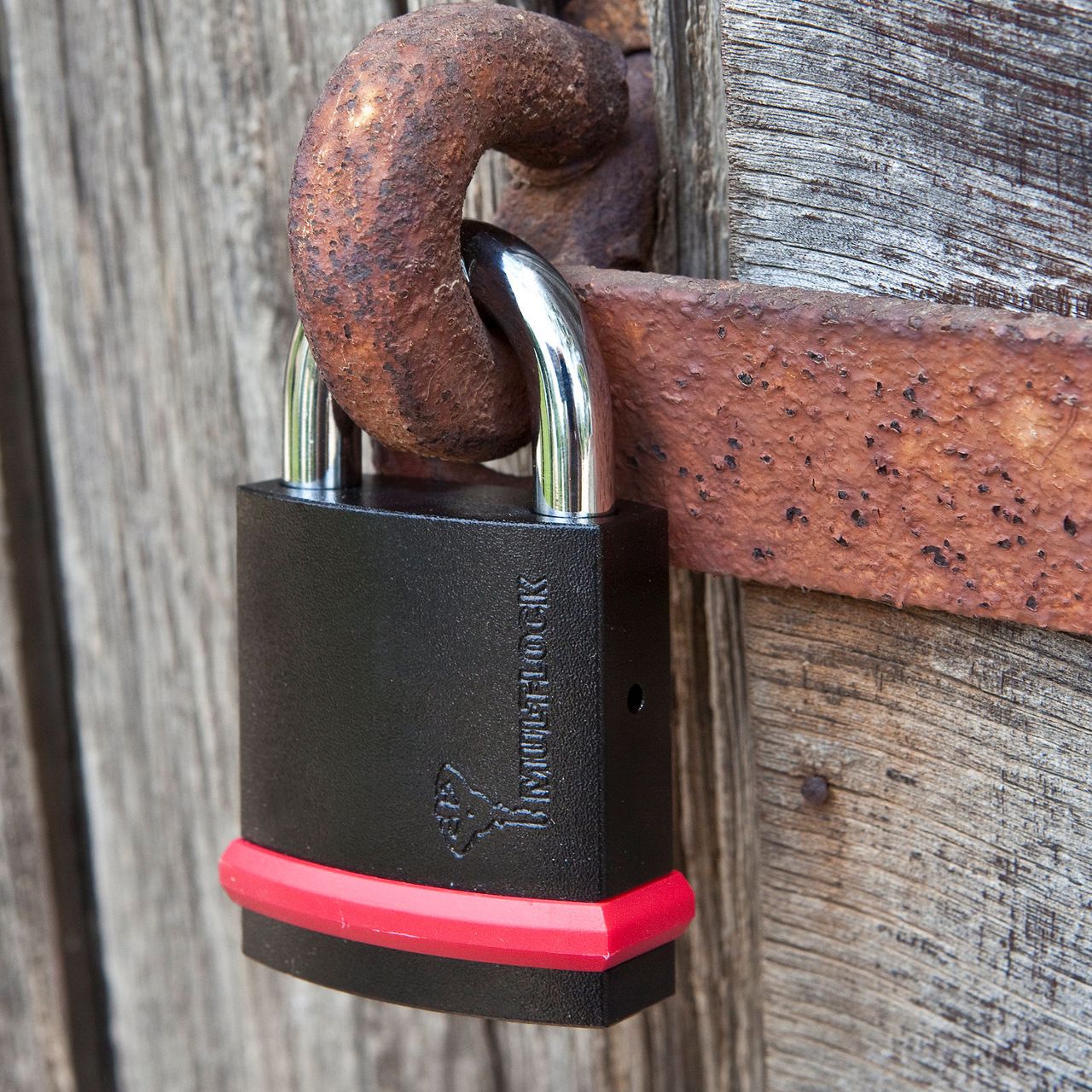 Padlocks | MUL-T-LOCK